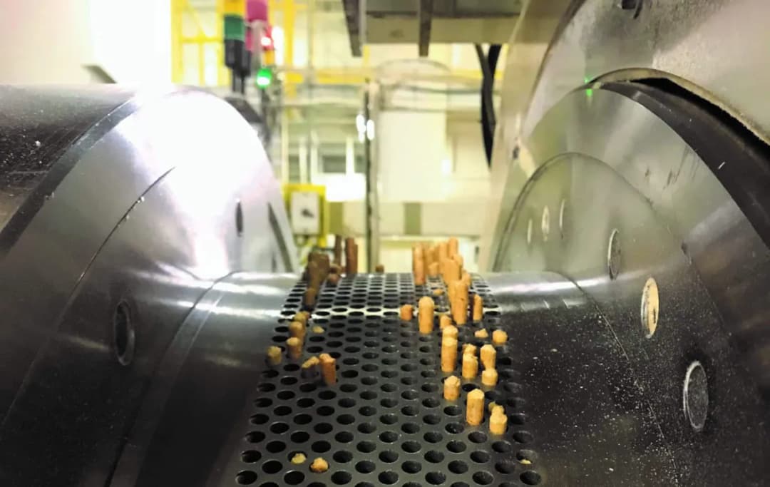 Ile można zarobić na produkcji pelletu - szczegółowa analiza rentowności