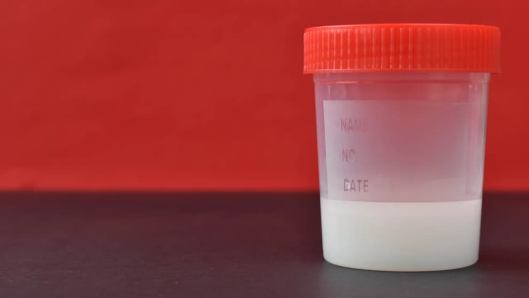 Bank spermy: ile realnie można zarobić na regularnym oddawaniu nasienia