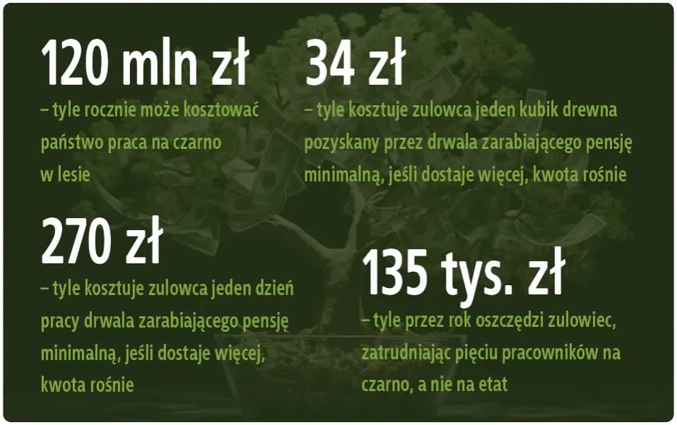 Ile można zarobić na czarno w Polsce: Realne stawki w różnych branżach